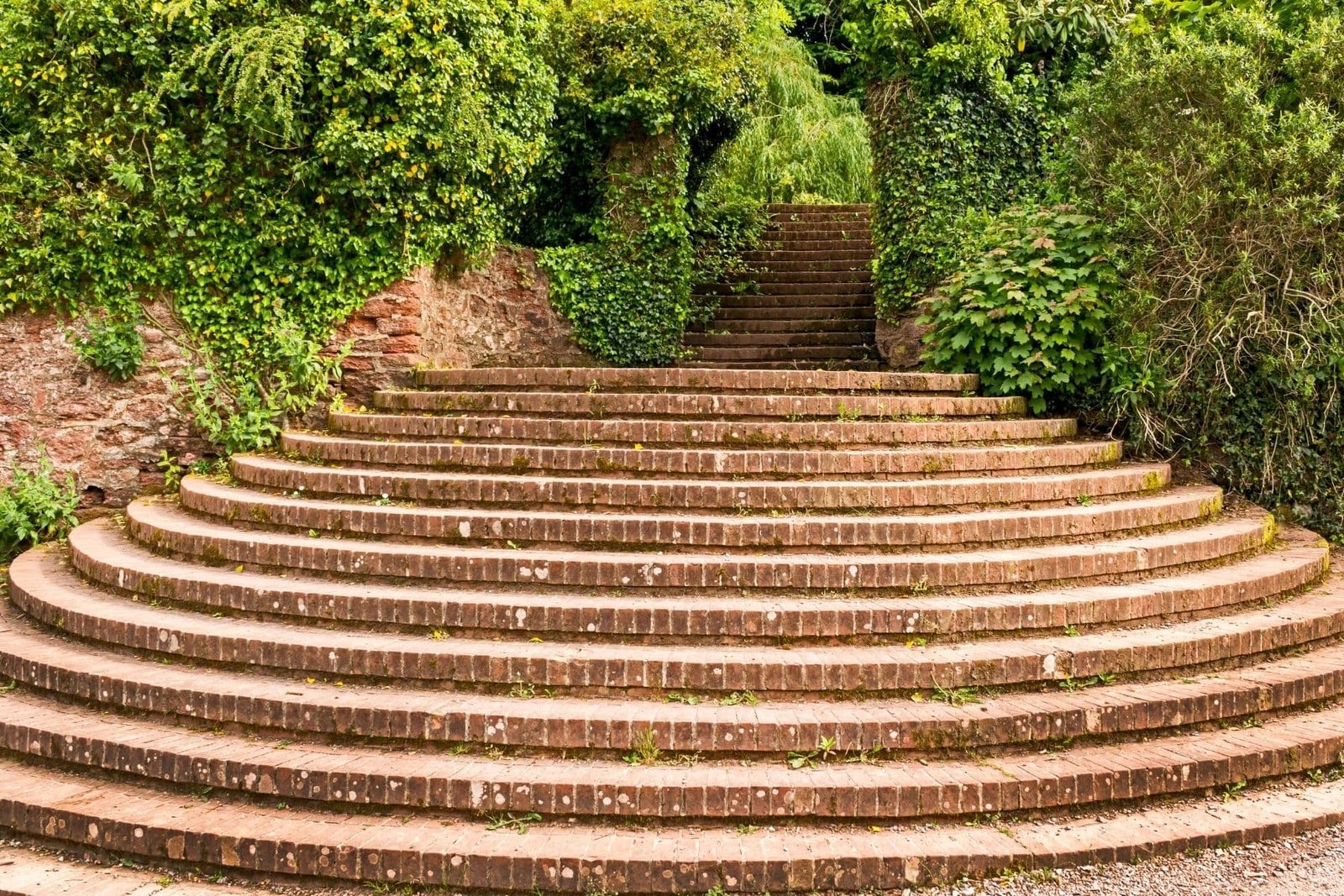 steps rotorua